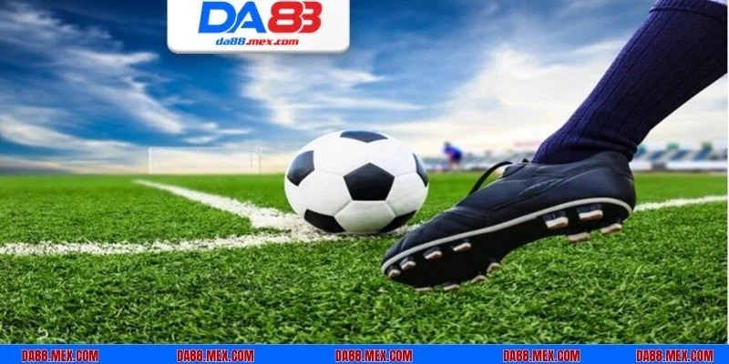 Bật mí cho tân binh cách đọc kèo rung là gì chi tiết nhất